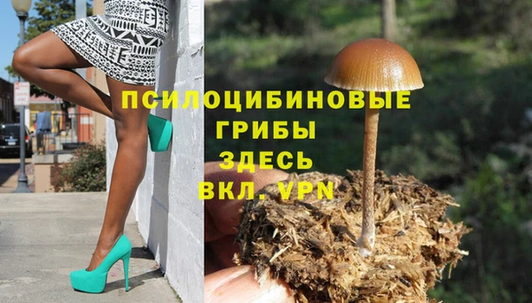 соль ск Балахна