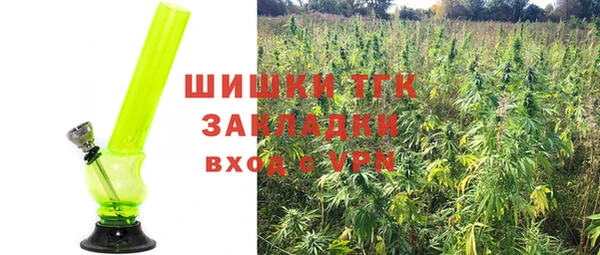 гидра Баксан
