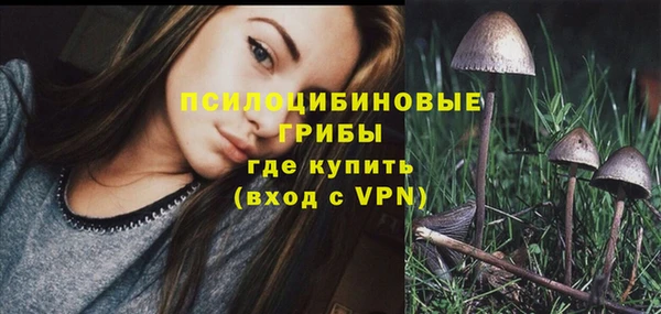 соль ск Балахна