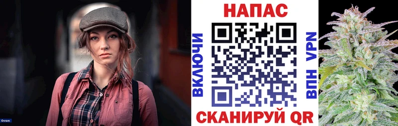 наркота Шиханы Каннабис THC 21%